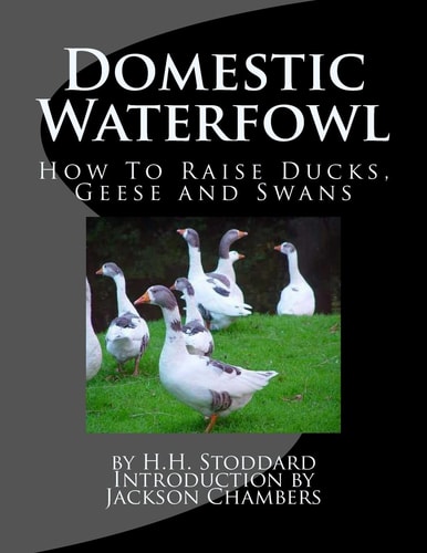 Domestic Waterfowl How to Raise Ducks, Geese and Swans