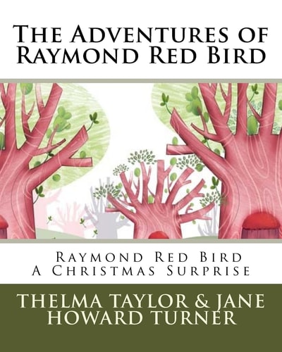 Raymond Red Bird a Christmas Surprise The Adventures of Raymond Red Bird, Vol. 7