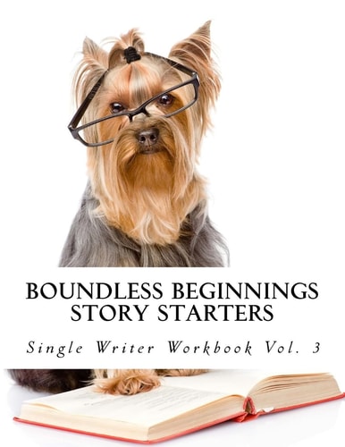 Story Starters Single Writer Workbook