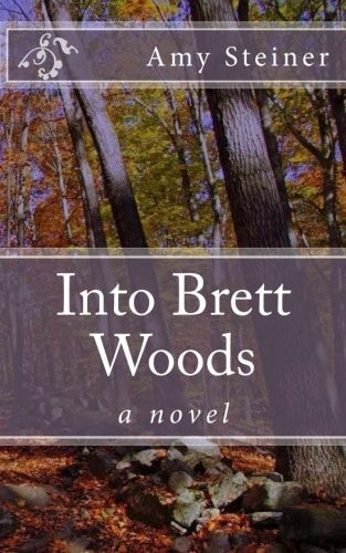 Into Brett Woods A Novel