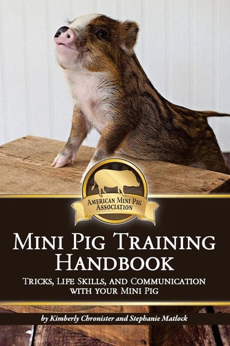 Mini Pig Training Handbook Tricks, Life Skills, and Communication with Your Mini Pig