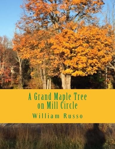 A Grand Maple Tree on Mill Circle