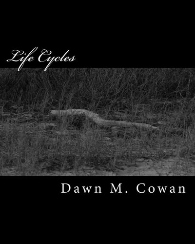 Life Cycles Photography and Poetry for the Stages of Life