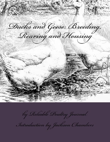 Ducks and Geese Breeding, Rearing and Housing