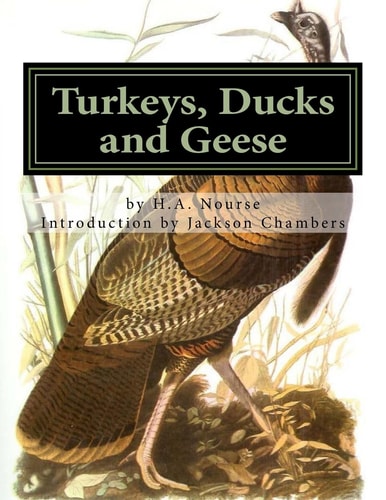 Turkeys, Ducks and Geese Breeding, Hatching and Rearing for Pleasure Or Profit