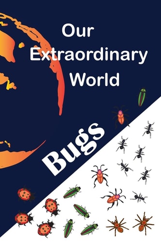 Our Extraordinary World Bugs