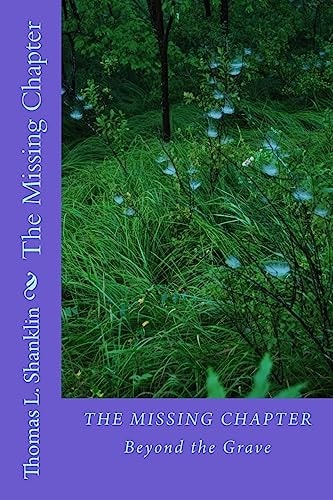 The Missing Chapter Beyond the Grave