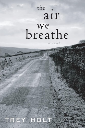 The Air We Breathe A Novel
