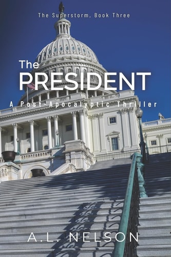 The President A Superstorm Novel