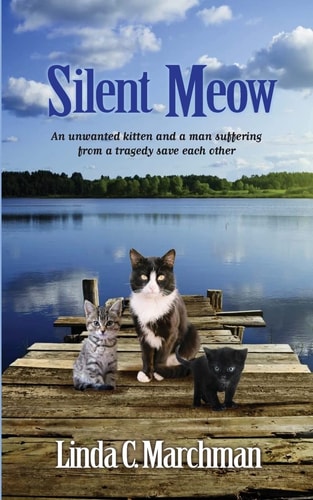Silent Meow An Unwanted Kitten and a Man Suffering from a Tragedy Save Each Other