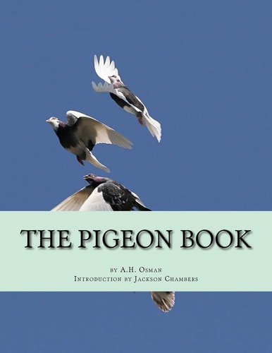 The Pigeon Book Pigeon Classics Book 7