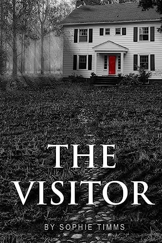 The Visitor The Suspense Thriller with a Twist