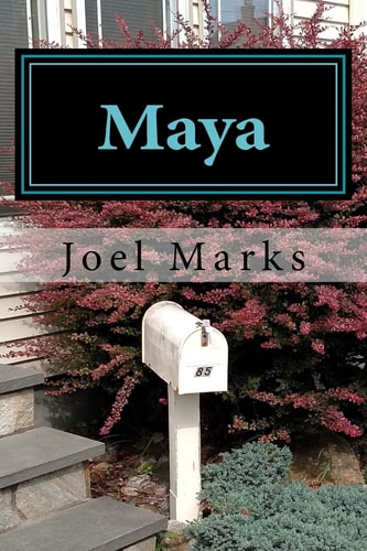 Maya A Philosopher Considers the World As Illusion