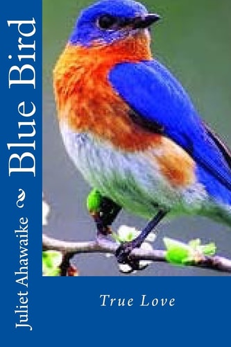 Blue Bird