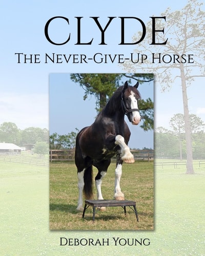 Clyde The-Never-Give-Up-Horse
