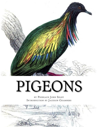 Pigeons Pigeon Classics Book 9