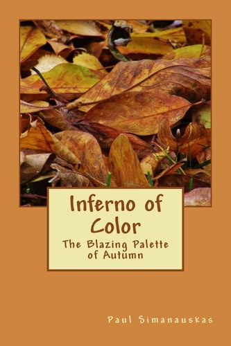 Inferno of Color The Blazing Palette of Autumn