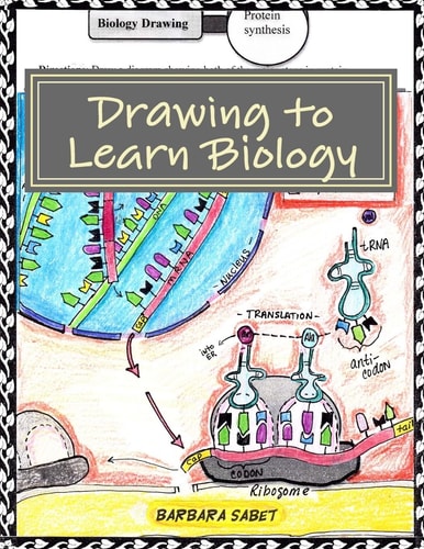 Drawing to Learn Biology Student Assignments in Illustrating Biology Concepts