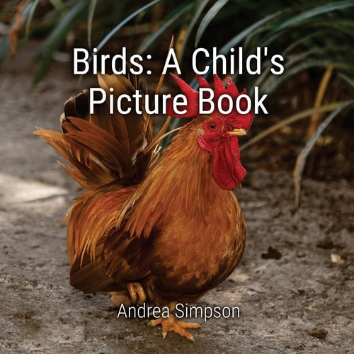 Birds A Child's Picture Book