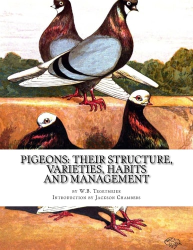 Pigeons: Their Structure, Varieties, Habits and Management Pigeon Classics Book 12