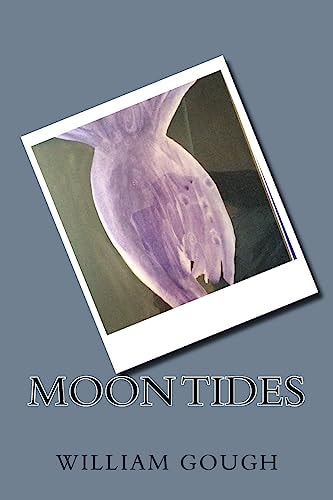 Moon Tides