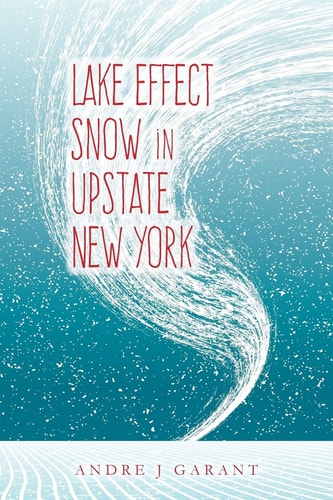 Lake Effect Snow in Upstate New York