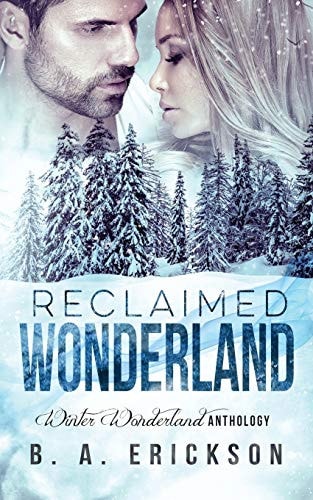 Reclaimed Wonderland Winter Wonderland Anthology
