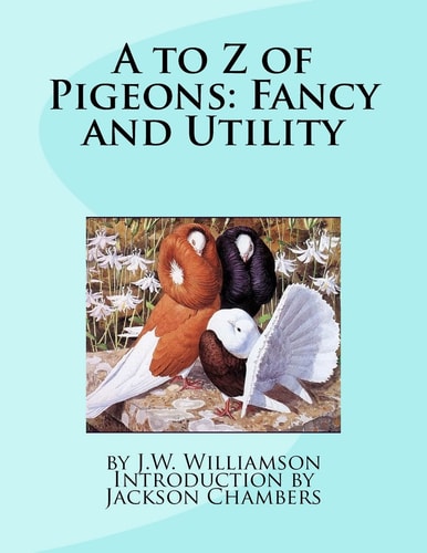 A to Z of Pigeons Fancy and Utility