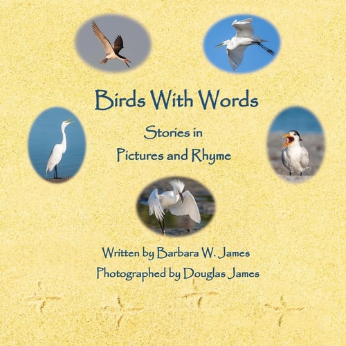 Birds With Words Stories in Pictures and Rhyme