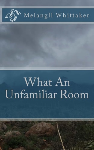 What An Unfamiliar Room