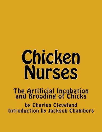 Chicken Nurses The Artificial Incubation and Brooding of Chicks