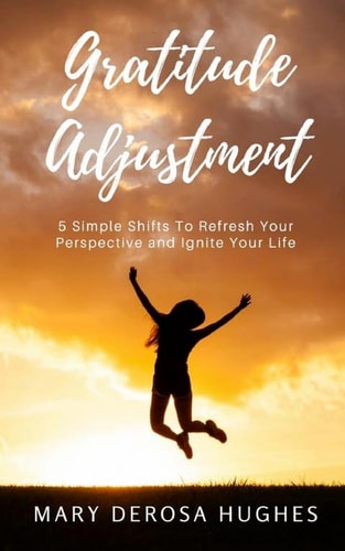 Gratitude Adjustment 5 Simple Shifts To Refresh Your Perspective and Ignite Your Life