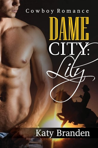 Cowboy Romance Dame City: Lily