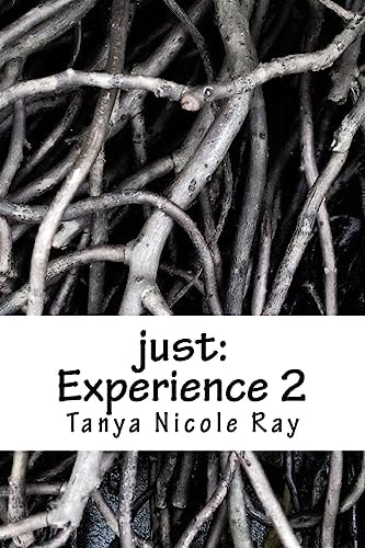 Just Experience 2