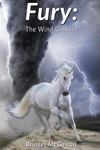 Fury The Wind Unicorn