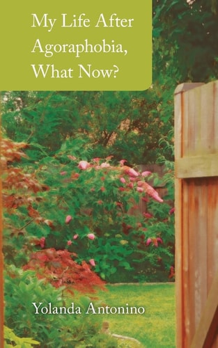 My Life After Agoraphobia, What Now?