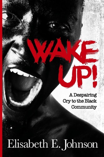 Wake Up A Despairing Cry to the Black Community