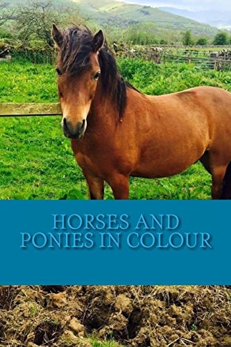 Horses and Ponies in Colour Full Colour Photographs of Various Breeds of Horse and Pony