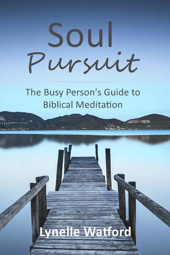 Soul Pursuit The Busy Person's Guide to Biblical Meditation