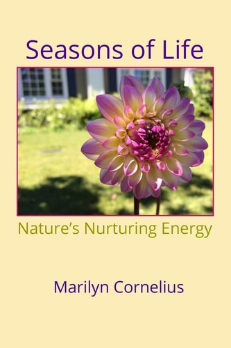 Seasons of Life Nature's Nurturing Energy