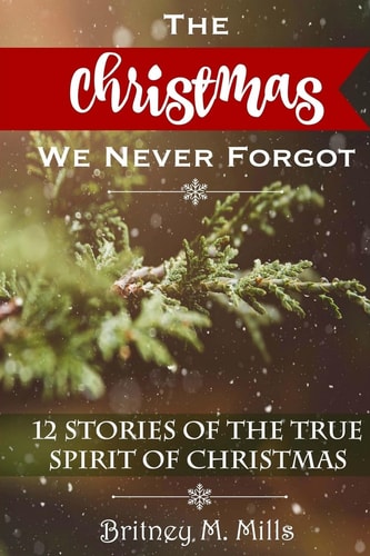 The Christmas We Never Forgot 12 Stories for the True Spirit of Christmas