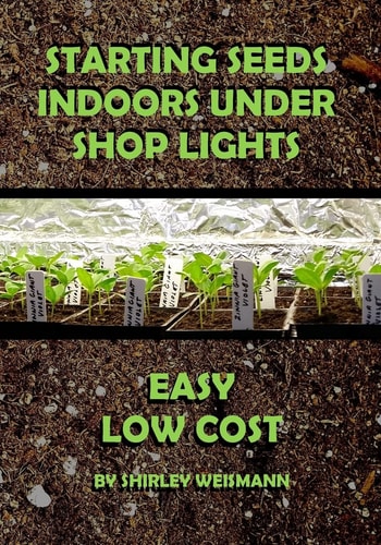 Starting Seeds Indoors Under Shop Lights Easy - Low Cost