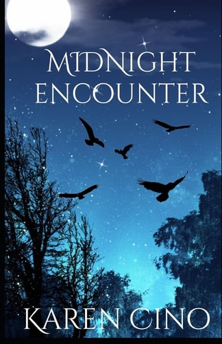 Midnight Encounter
