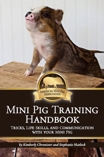 Mini Pig Training Book Tricks, Life Skills, and Communication with Your Mini Pig