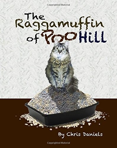The Raggamuffin of Poo Hill