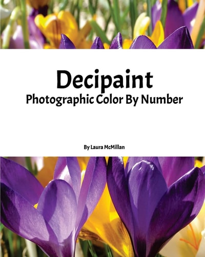 Decipaint Photographic Color By Number