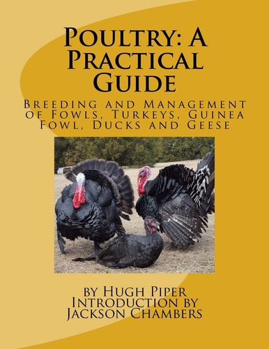 Poultry A Practical Guide: Breeding and Management of Fowls, Turkeys, Guinea Fowl, Ducks and Geese