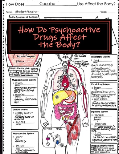 How Do Psychoactive Drugs Affect the Body? Understanding How Drugs Affect the Synapse and Body Organs