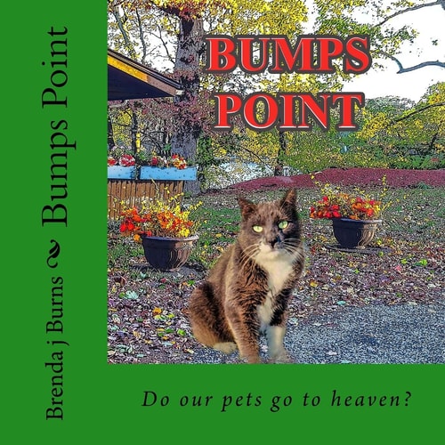 Bumps Point Do Our Pets Go to Heaven?