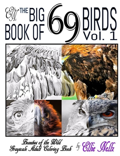 The Big Book of 69 Birds Beauties of the Wild